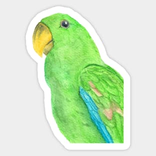 Green watercolor eclectus parrot - bird painting portrait Sticker